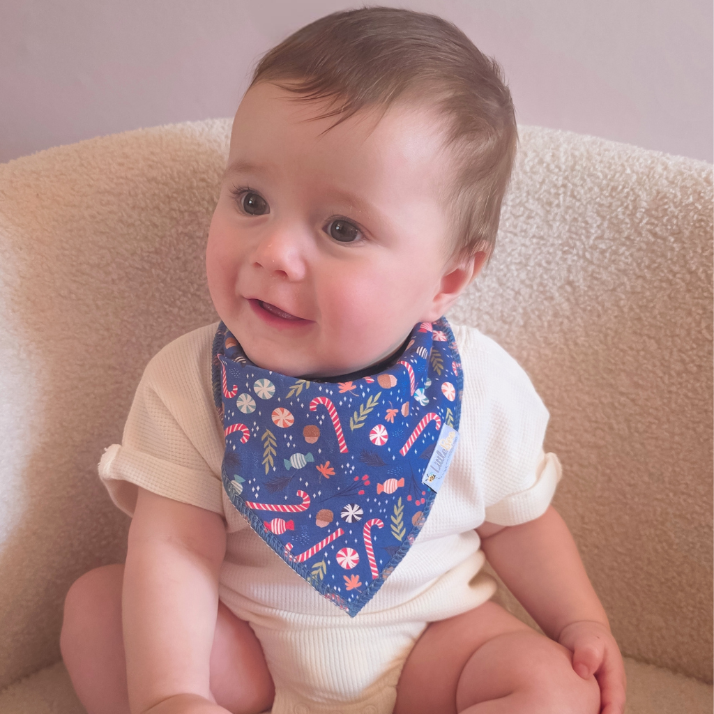 Merry Little Bee – Limited Edition Christmas Bandana Bibs (2-Pack)