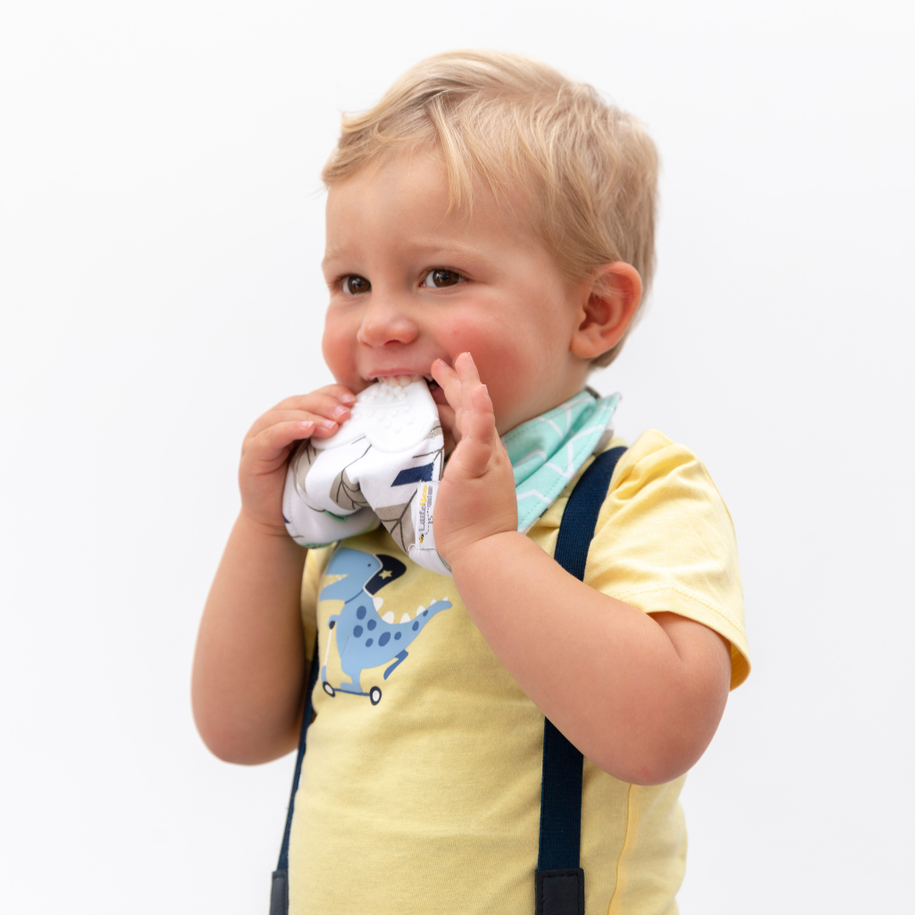 Bee Mint– Organic Reversible Teether Bib (Single Bib, 2 Looks) - Little Bee & Me 