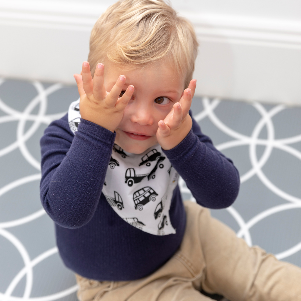 Stars & Cars Bandana Bibs - Set of Four - Little Bee & Me 